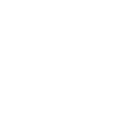 clip icon